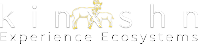 Kinxshn Logo